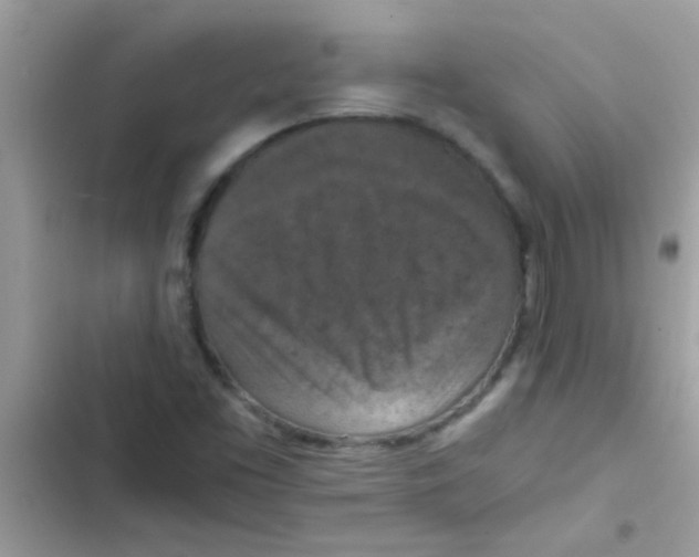 X0000103141453200809191953