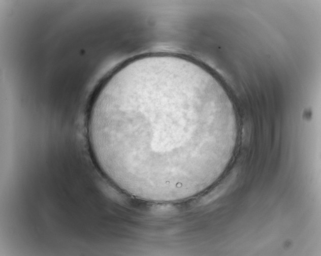 X0000103141454200809191953