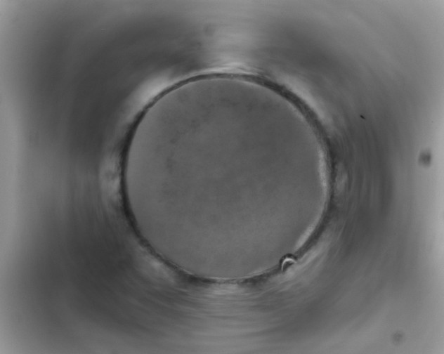 X0000103141455200809191953