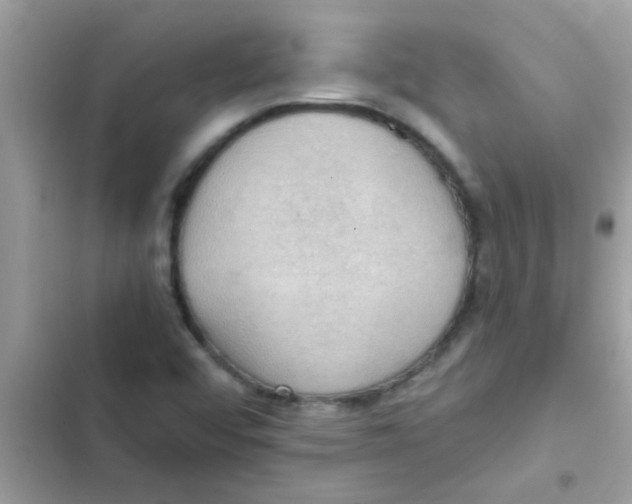 X0000103141456200809191953