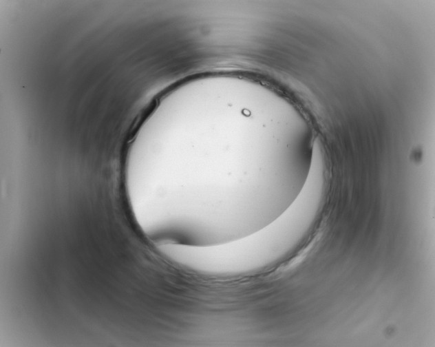 X0000103141457200809191953