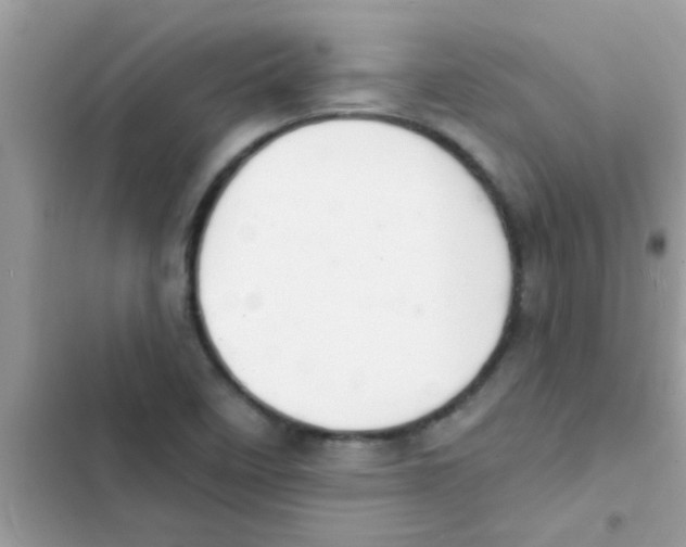 X0000103141458200809191953