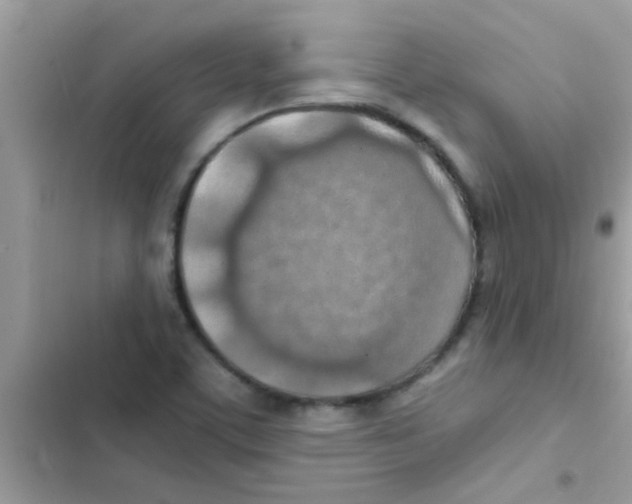 X0000103141459200809191953