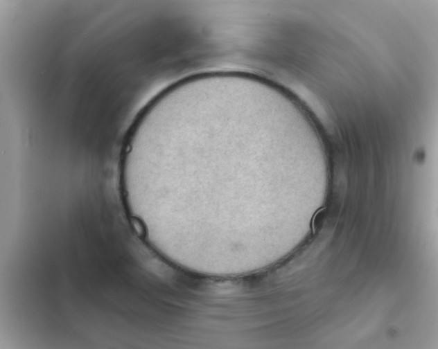 X0000103141460200809191953