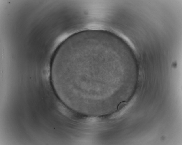 X0000103141461200809191953