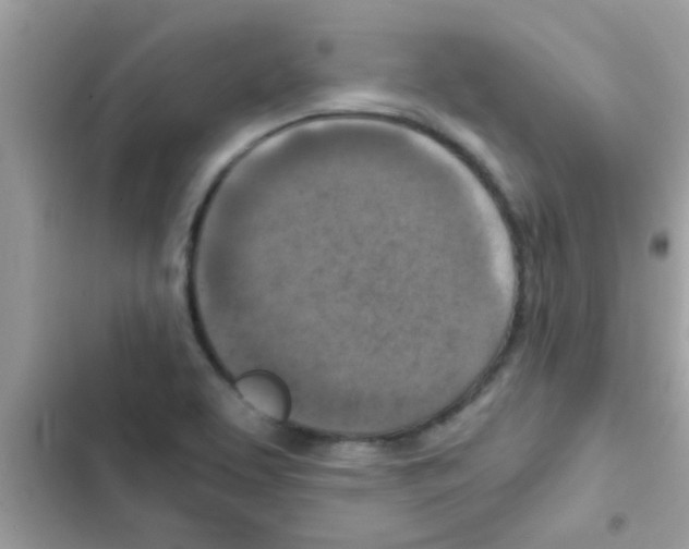 X0000103141463200809191953