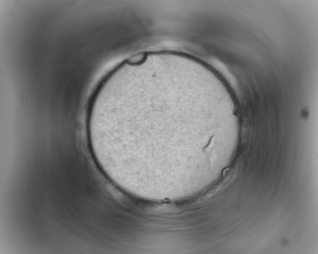 X0000103141464200809191953