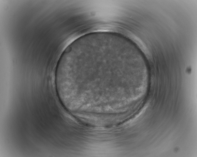 X0000103141465200809191953