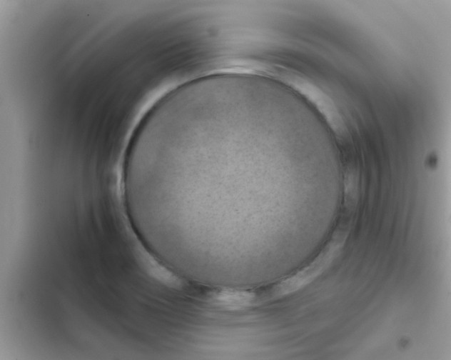 X0000103141466200809191953