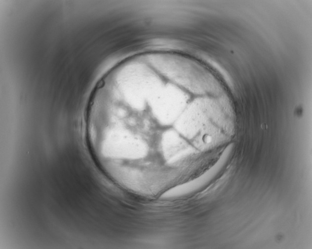 X0000103141467200809191953