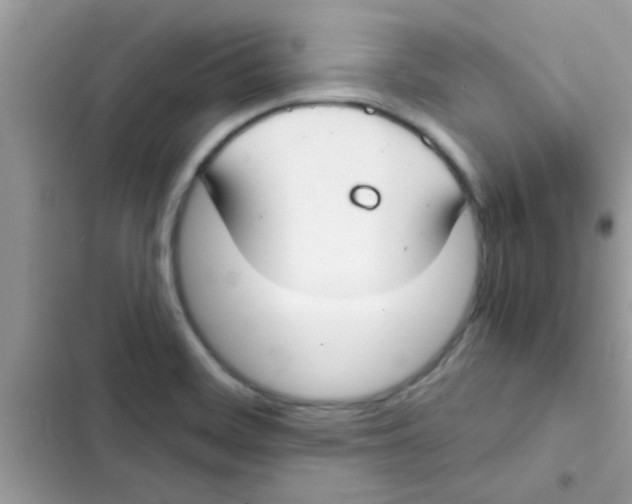 X0000103141468200809191953