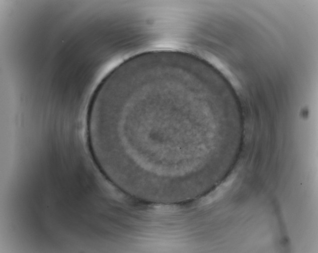 X0000103141469200809191953