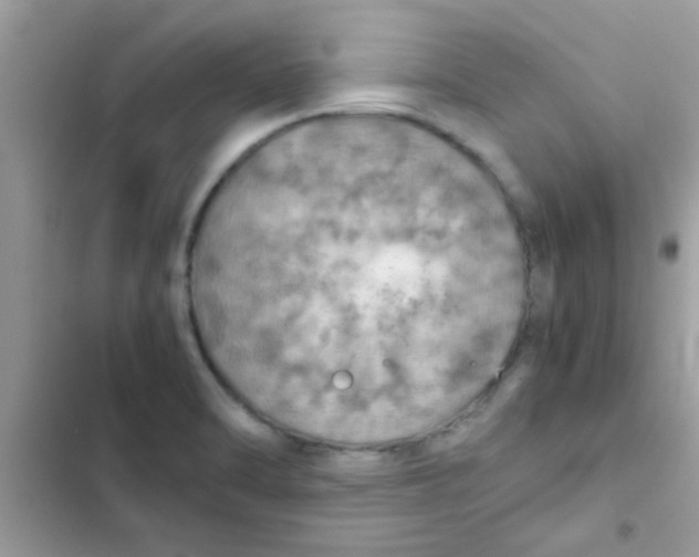 X0000103141470200809191953