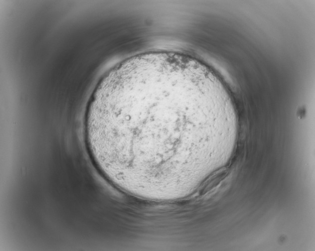 X0000103141471200809191953