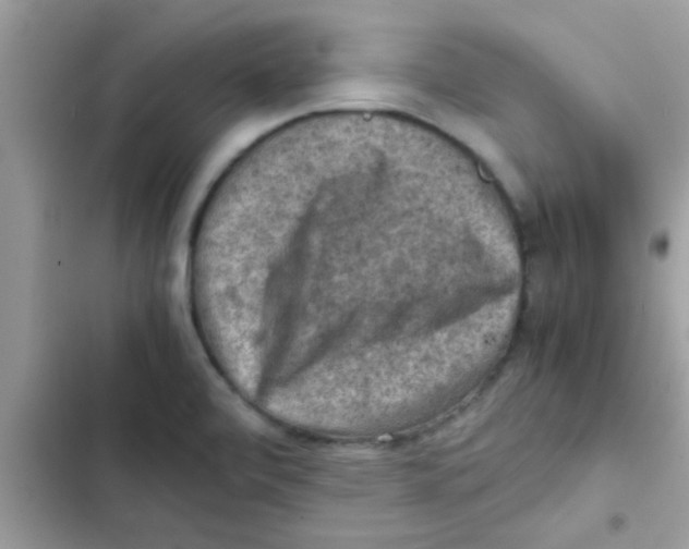 X0000103141472200809191953