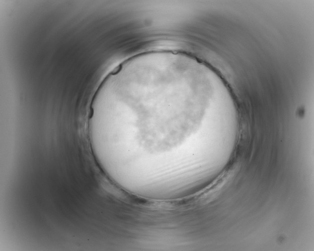 X0000103141473200809191953