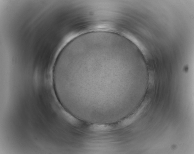 X0000103141474200809191953