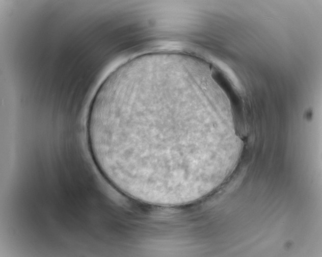 X0000103141475200809191953