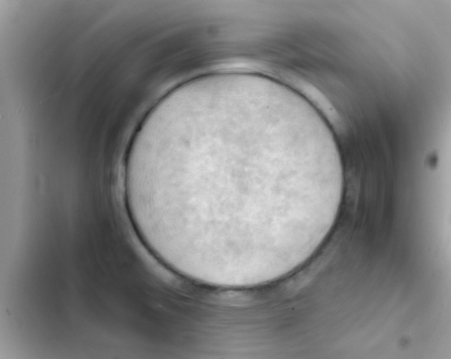 X0000103141476200809191953