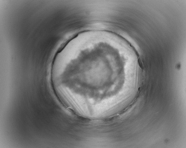 X0000103141477200809191953