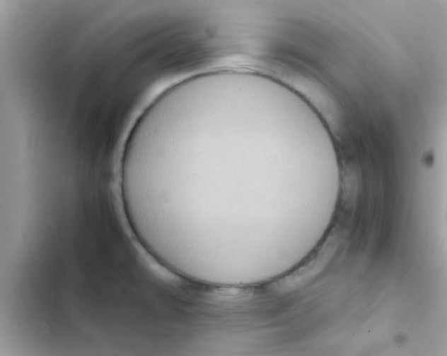 X0000103141478200809191953