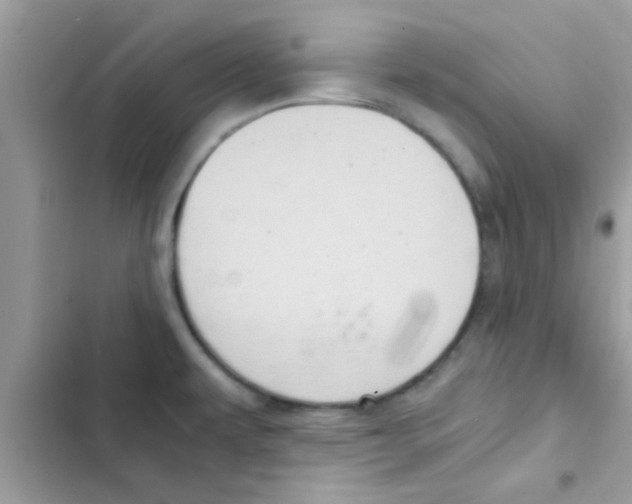 X0000103141479200809191953