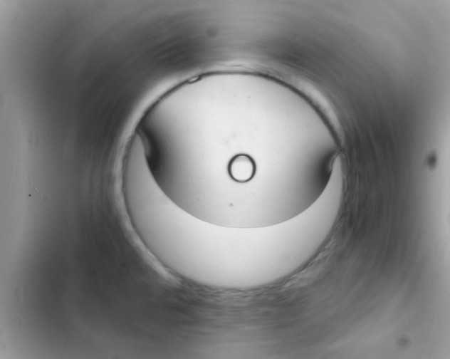 X0000103141480200809191953