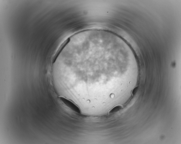 X0000103141481200809191953