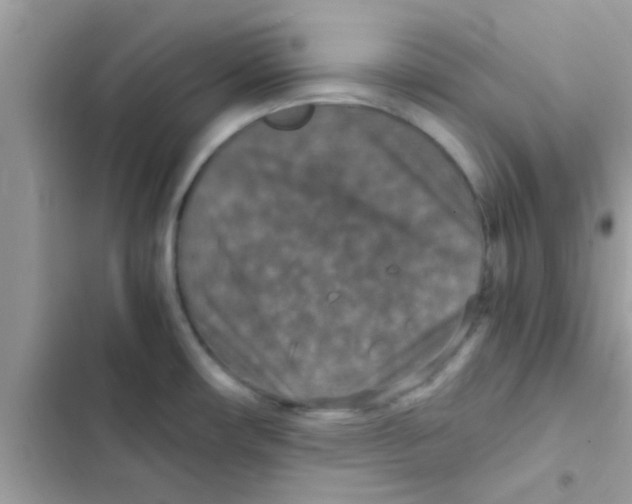 X0000103141482200809191953