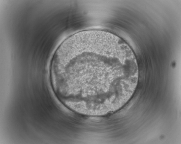 X0000103141483200809191953