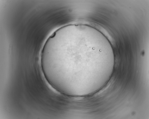 X0000103141484200809191953