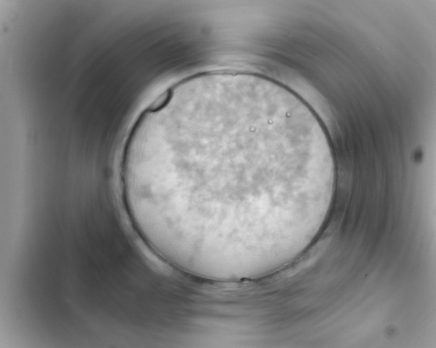 X0000103141485200809191953