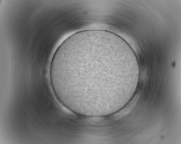 X0000103141486200809191953