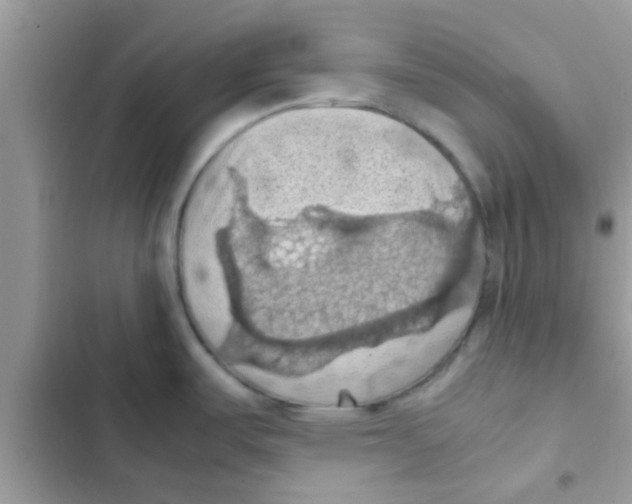 X0000103141487200809191953