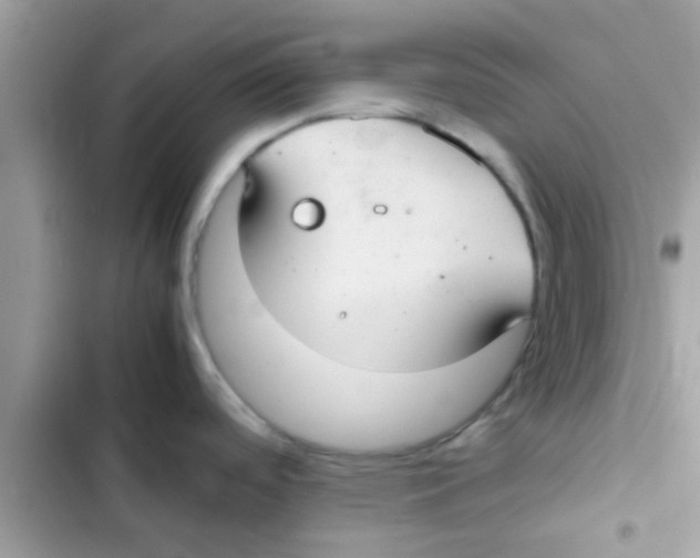 X0000103141488200809191953