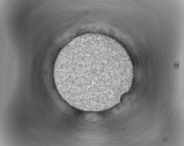 X0000103141489200809191952