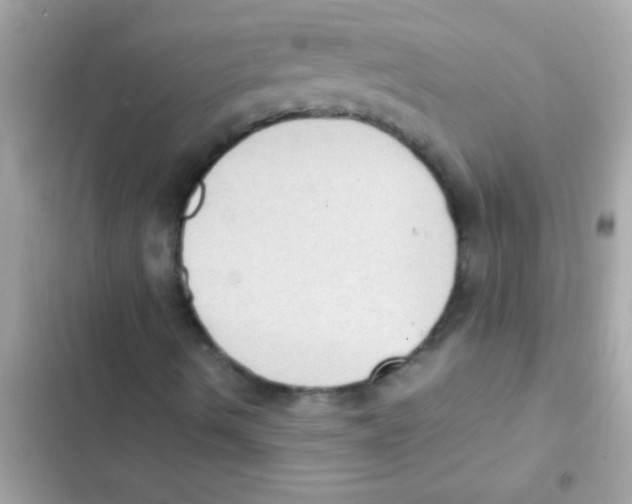 X0000103141490200809191952