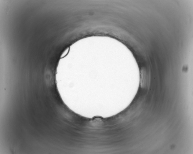 X0000103141491200809191952