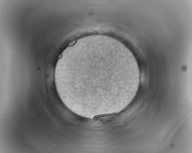 X0000103141492200809191952