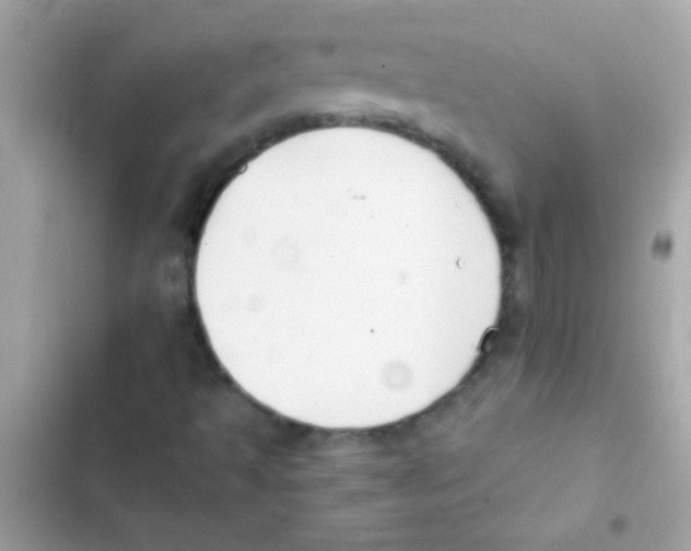 X0000103141493200809191952