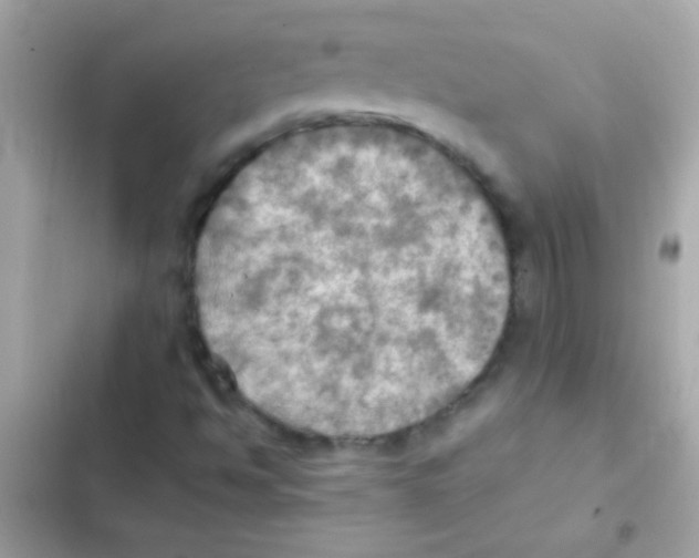 X0000103141494200809191952