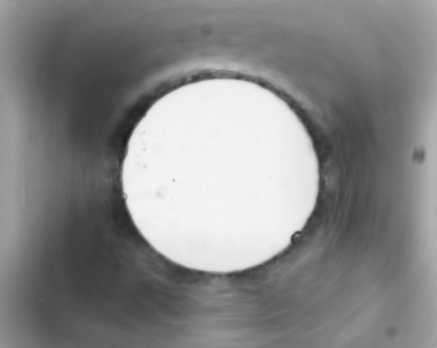 X0000103141495200809191952