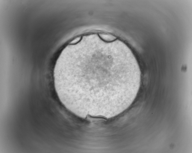 X0000103141496200809191952