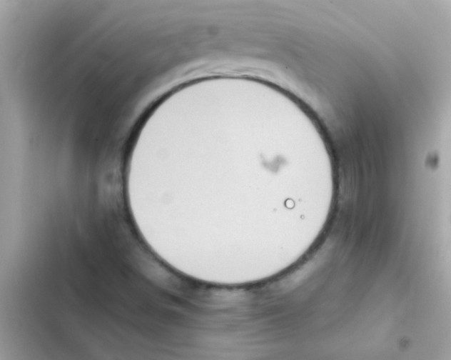 X0000103141498200809191952