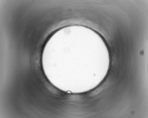 X0000103141499200809191952