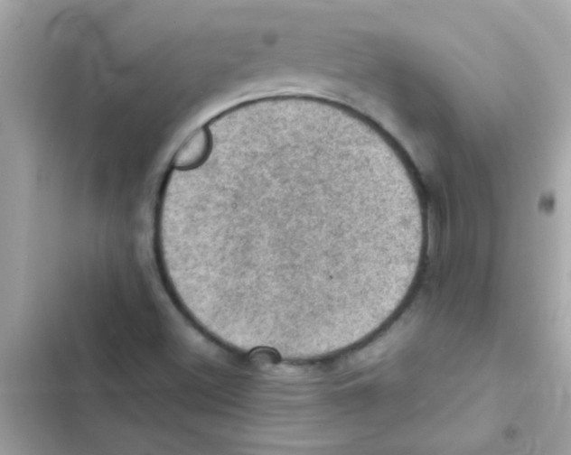 X0000103141500200809191952