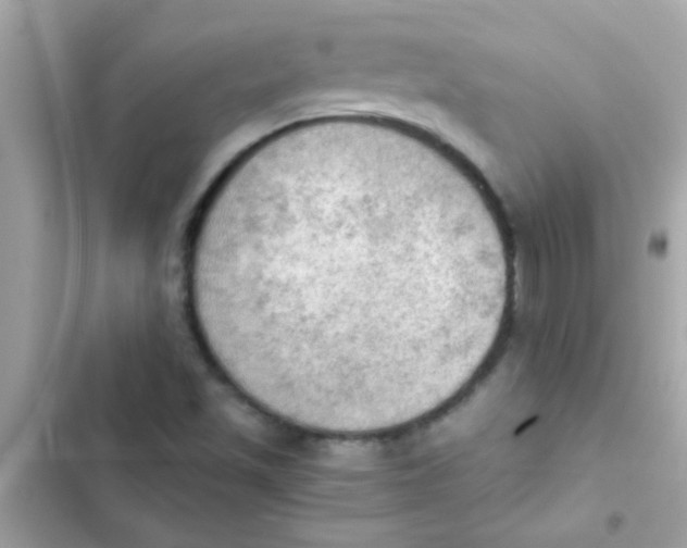 X0000103141501200809191952