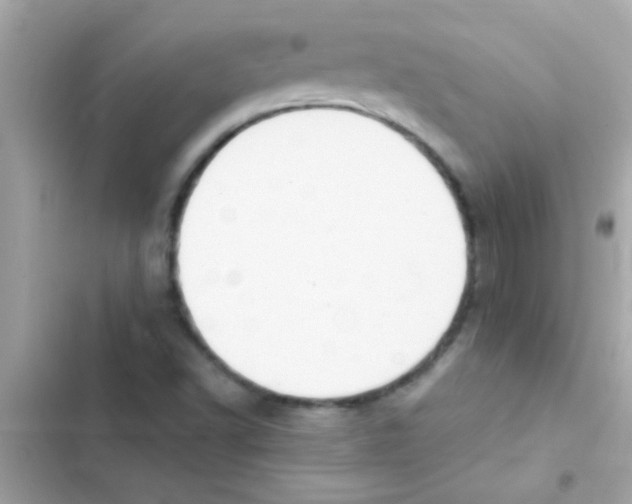 X0000103141502200809191952