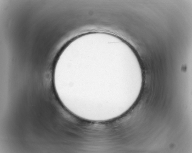 X0000103141503200809191952