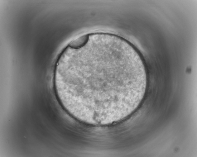 X0000103141504200809191952